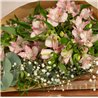 Paquete de alstroemerias rosa