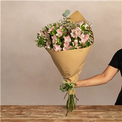 Paquete de alstroemerias rosa