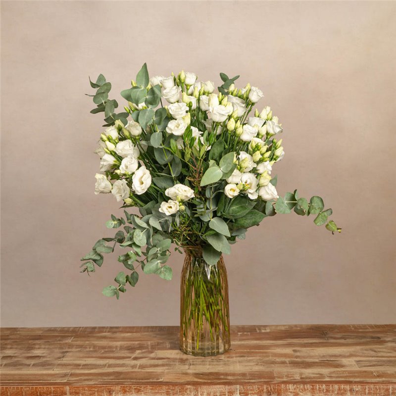Paquete de lisianthus blanco