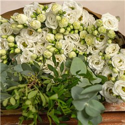 Paquete de lisianthus blanco