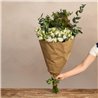 Paquete de lisianthus blanco
