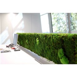 Jardín vertical JV25002