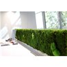 Jardín vertical JV25002