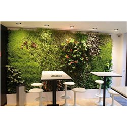 Jardín vertical JV25004