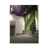 Jardín vertical JV25005