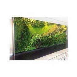 Jardín vertical JV25008