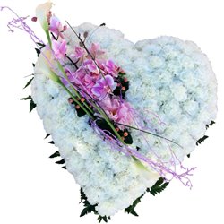 Corazón Pureza