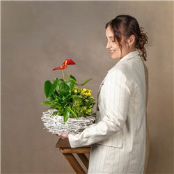 Cesta de Plantas Freya