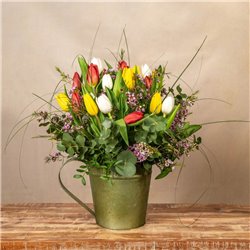 Regadera Tulipán