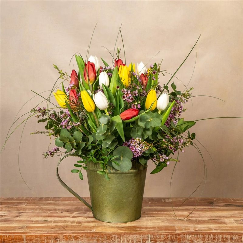 Regadera Tulipán