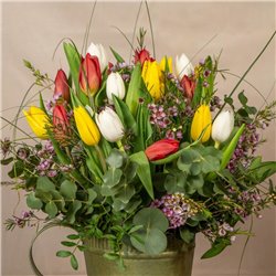 Regadera Tulipán