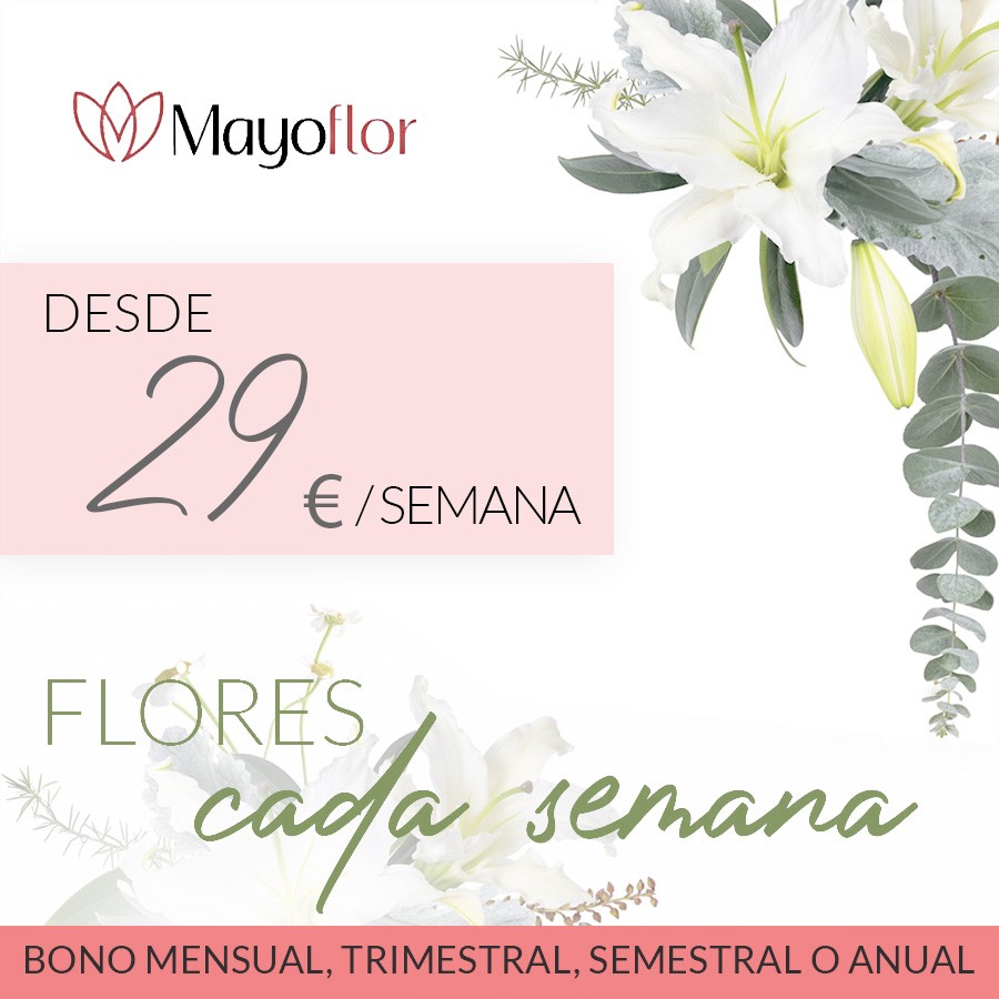 FLORES CADA SEMANA